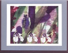 Click Here To View and Order This Card!