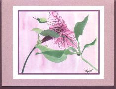 Click Here To View and Order This Card!