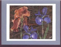 Click Here To View and Order This Card!