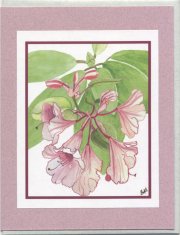 Click Here To View and Order This Card!