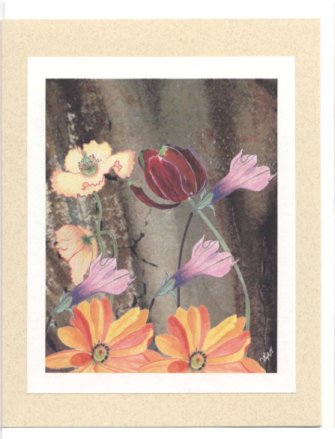 Click Here To View and Order This Card!