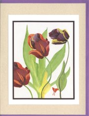 Click Here To View and Order This Card!