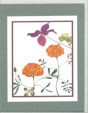 Click Here To View and Order This Card!