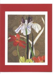 Click Here To View and Order This Card!