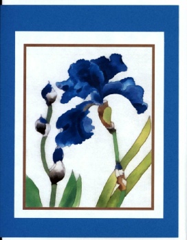 CLICK ON IMAGE TO ORDER