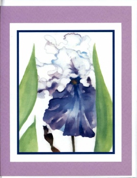 CLICK ON IMAGE TO ORDER