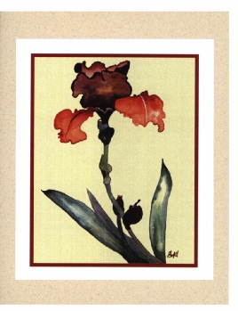 CLICK ON IMAGE TO ORDER