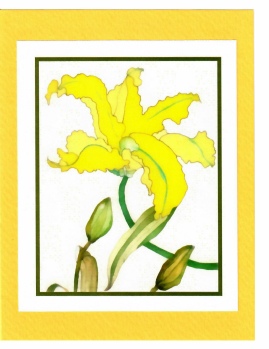 CLICK ON IMAGE TO ORDER